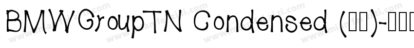 BMWGroupTN Condensed (正文)字体转换